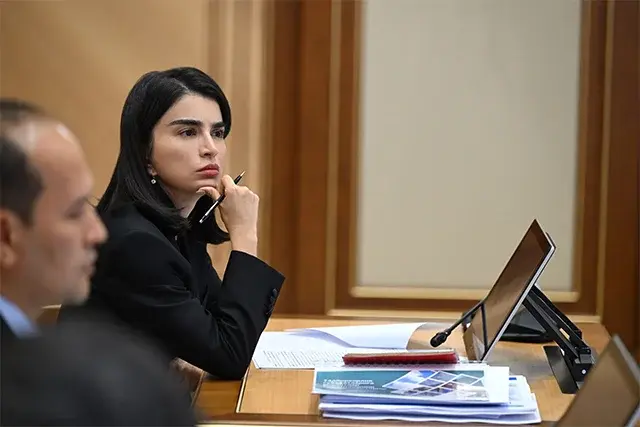 Саида Мирзиёева кичик бизнес учун янги имтиёзларни изоҳлади