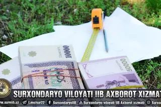 Illegal sale of land worth 500 million soums prevented in Jarkurgan