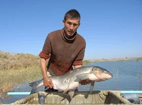 Uzbekistan produces over 5,000 tonnes of fish in Jan-Sep 2010
