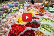 Asia's premier flower hub sets new benchmarks in trading scale and logistics efficiency