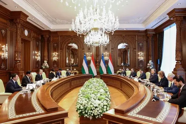 Shavkat Mirziyoyev meets with Hungarian Prime Minister Viktor Orban