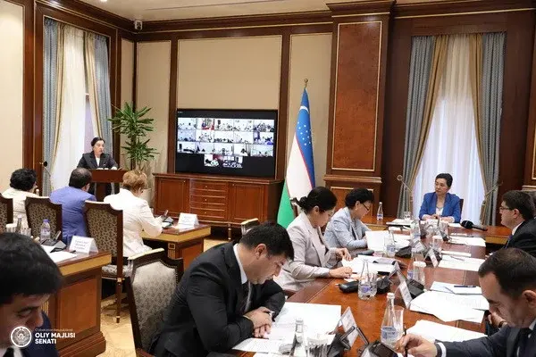 A regular meeting of the Republican Commission on the issues of increasing the role of women in society, gender equality and the family was held