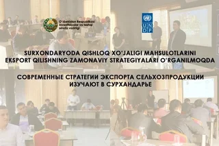Современные стратегии экспорта сельхозпродукции изучают в Сурхандарье