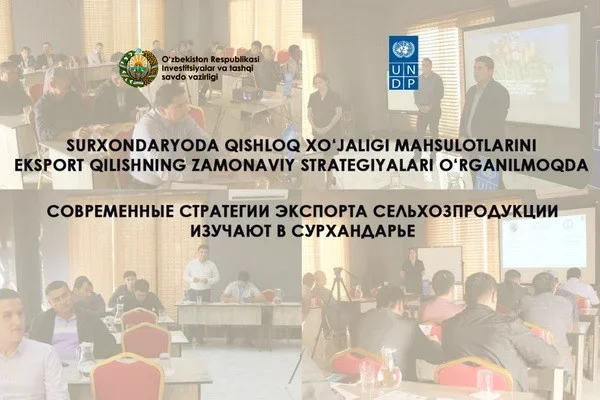 Modern strategies for the export of agricultural products are studied in Surkhandarya