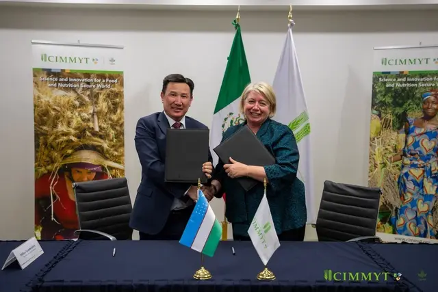 Ўзбекистонда CIMMYT халқаро маркази офиси очилади