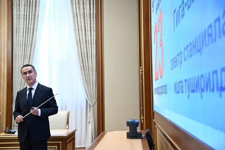 Президенту представили меры по реформированию энергетики