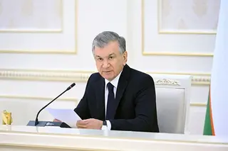 Priority tasks have been identified to ensure the employment of university students