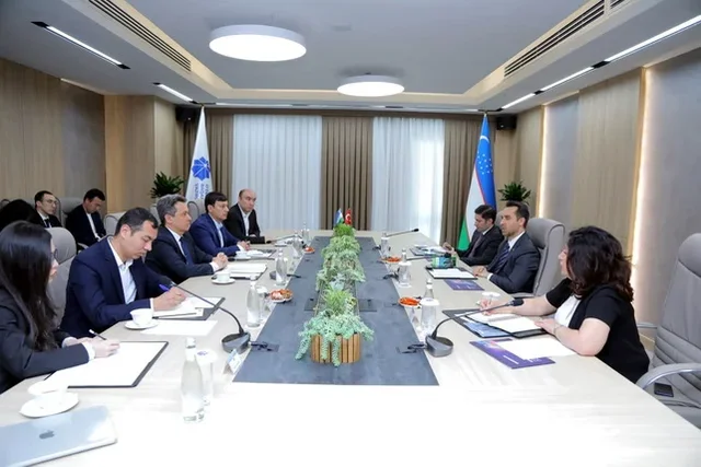 Uzbekistan and Türkiye discuss development of cooperation in the IT sector
