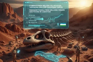 O‘zbekistonda million yillar oldin yashagan dinozavr suyaklari topildi
