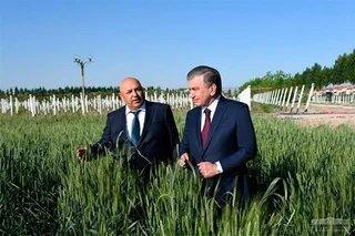 Шавкат Мирзиёев: Прибыльность - основной критерий во всех сферах экономики