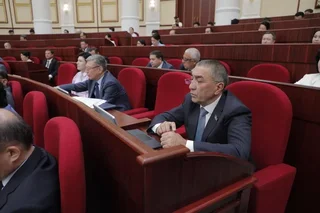 Депутаты усилили защиту земель лесного фонда в Узбекистане