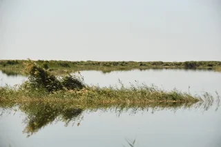 Пятый объект природного наследия включили в список водно-болотных угодий международного значения