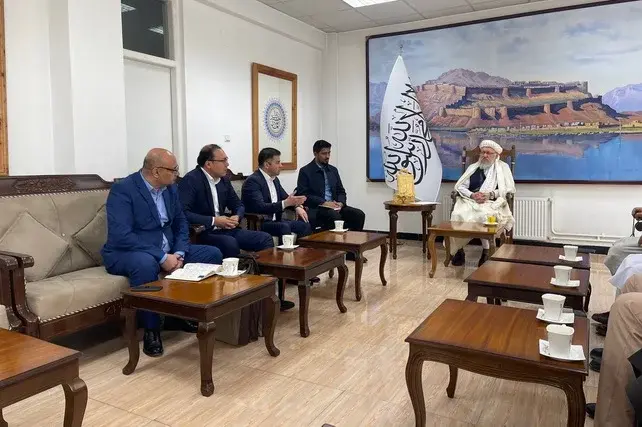 Oʻzbekiston va Afgʻoniston farmatsevtika sohasidagi hamkorlikni kengaytirish masalalarini muhokama qilishdi