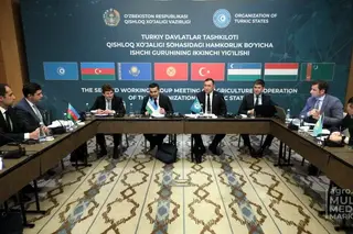 Состоялось 2-е заседание Рабочей группы по сотрудничеству в области сельского хозяйства государств-членов Организации тюркских государств