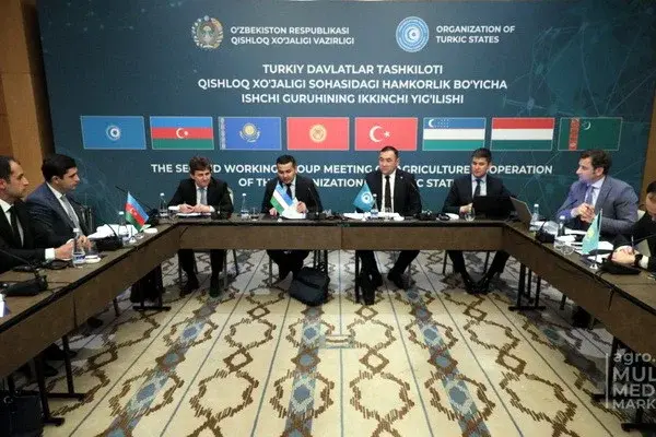 The 2nd meeting of the Working Group on cooperation in the field of agriculture of the member states of the Organization of Turkic States was held