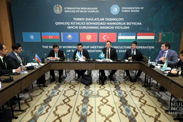 The 2nd meeting of the Working Group on cooperation in the field of agriculture of the member states of the Organization of Turkic States was held