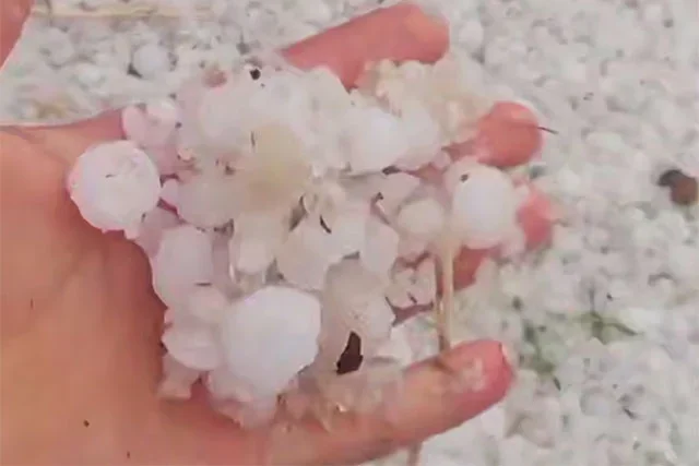 Unusual Weather: Large Hail Falls in Khorezm Region in June