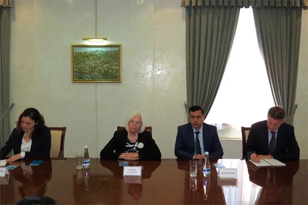 В Сенате приняли делегацию Глобального альянса национальных правозащитных учреждений