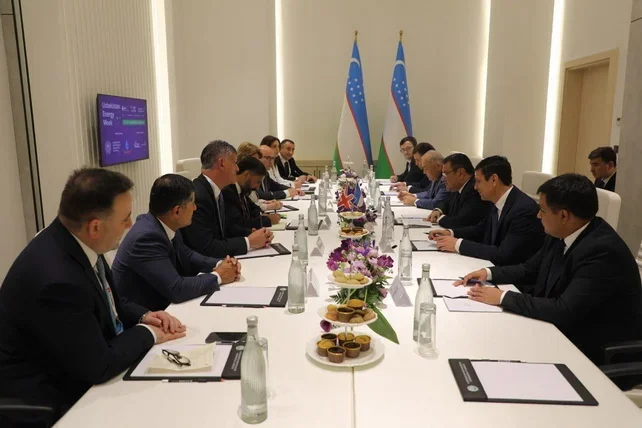 Uzbekistan Discusses Gas Cooperation With GECF