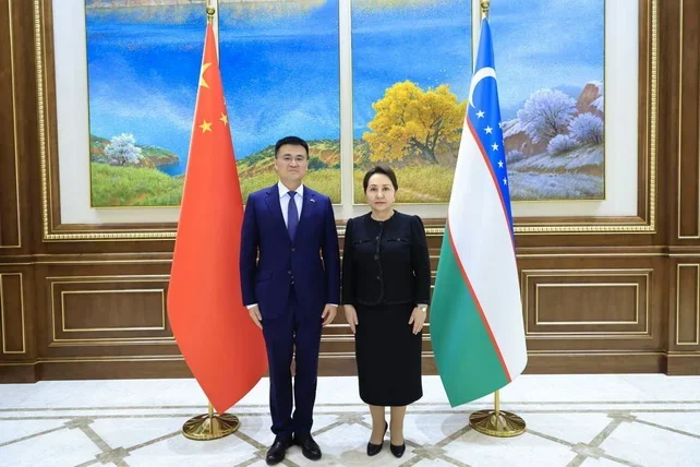 Uzbek Senate discusses strengthening cooperation with China