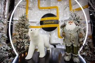 Beeline Uzbekistan customers make 36 million calls on New Year’s Eve