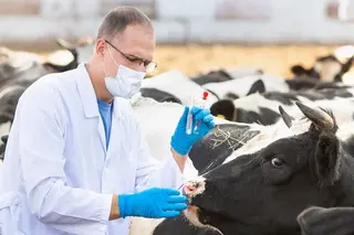 Public services are provided to improve the skills of veterinary service specialists