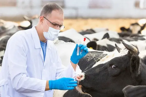 Public services are provided to improve the skills of veterinary service specialists