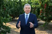 Президент ознакомился с экспортно-ориентированным интенсивным садом в Паркенте