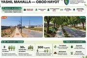 В Самарканде в махалле «Сайкал» создают тенистую прогулочную улицу