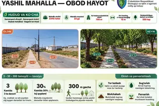 В Самарканде в махалле «Сайкал» создают тенистую прогулочную улицу