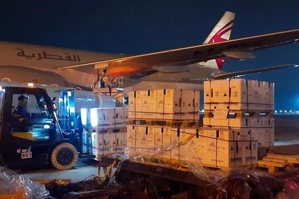 Another batch of Pfizer vaccine against coronavirus delivered to Uzbekistan