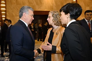 Mirziyoyev BMTning Ekologik dasturi bilan ekologik hamkorlikni muhokama qildi