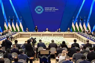 Саида Мирзиёева возглавит совет инвесторов в энергетике