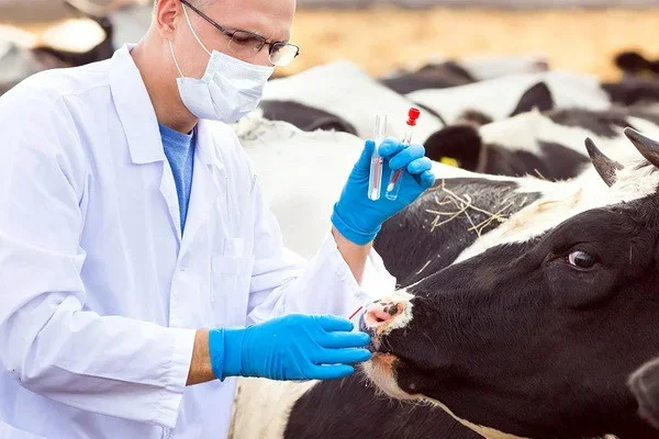 Установлен порядок выдачи нагрудных знаков в области ветеринарии и животноводства