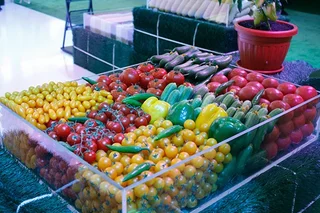 Practical issues of development of cooperation in the agricultural sector discussed