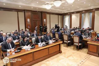 Senate adopts a resolution on holding regular elections of chairmen (aksakals) of citizens’ gatherings