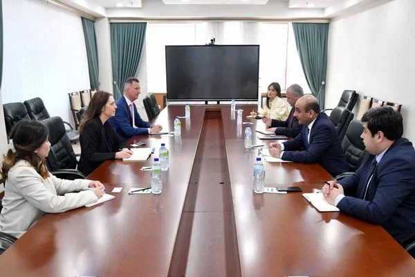 Uzbek DFM holds meeting with the OHCHR Regional Representative