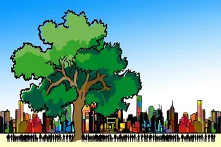 Only 3% of Tashkent is covered with green spaces (lawns)