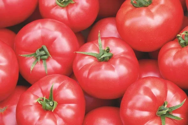EastFruit: Tomato prices in Uzbekistan set new records