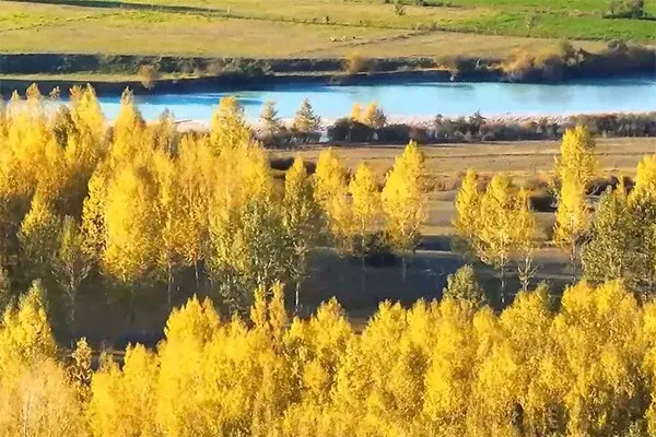 Восхитительная осень красивого Синьцзяна