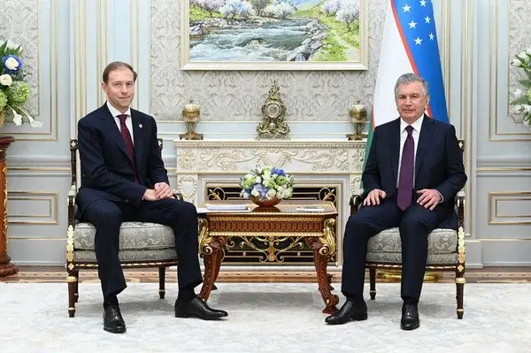 President of Uzbekistan receives the Deputy Prime Minister of Russia