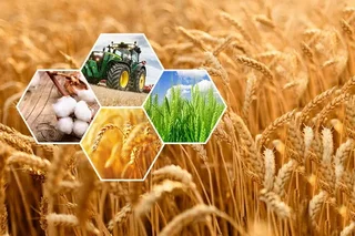 The main problems of the agro-industrial sector were discussed