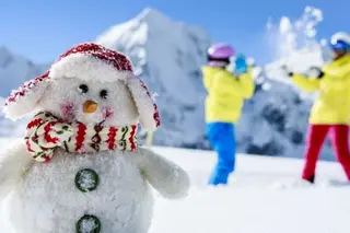 The procedure for organizing winter holidays in educational institutions has been established