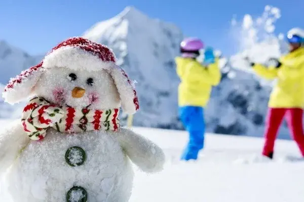 The procedure for organizing winter holidays in educational institutions has been established