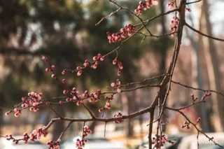 Meteoprog и прогноз погоды: почему стоит использовать сервис