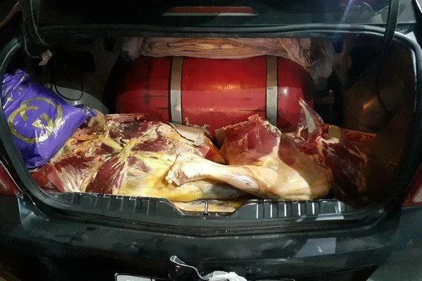 Law enforcement bodies prevent transportation of almost a ton of spoiled meat to Tashkent