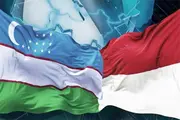 Индонезия и Узбекистан обсудили прямые авиарейсы