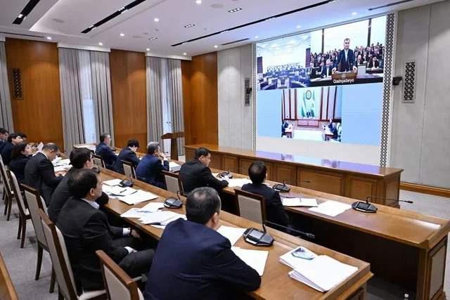 Mirziyoyev Reviews Economic and Infrastructure Plans for Kashkadarya