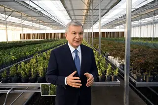 Uzbekistan Opens Kashkadarya Centre to Grow 5 Million Saplings