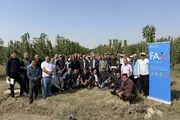 В шести областях Узбекистана прошли практические тренинги по управлению черешневыми садами
